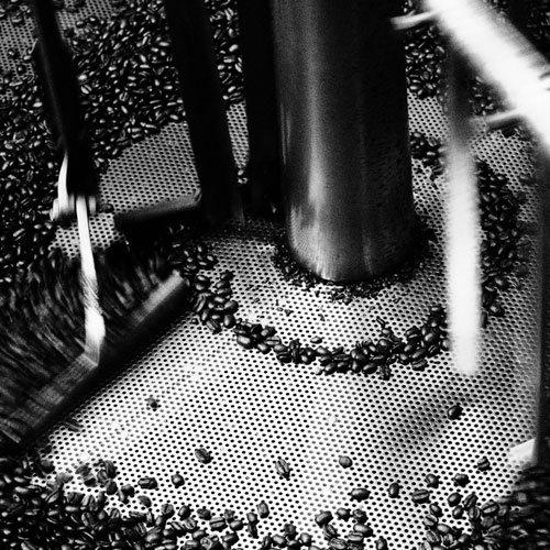 Roasted Coffee Being Cooled and sent to the Hoppers